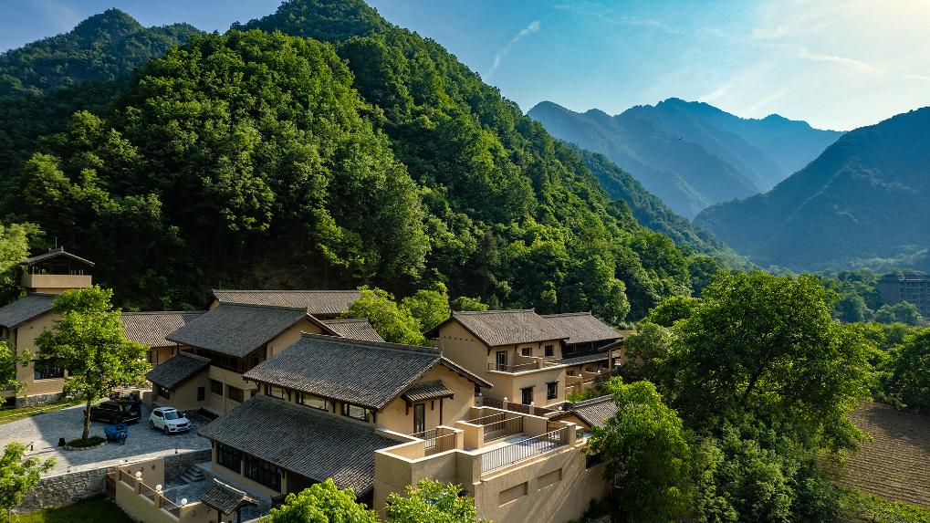 ����ר���Ʊ������������»����������»���